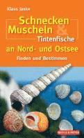 bokomslag Schnecken, Muscheln & Tintenfische an Nord- und Ostsee