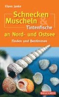 bokomslag Schnecken, Muscheln & Tintenfische an Nord- und Ostsee