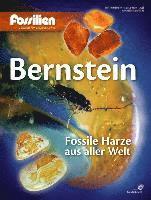 bokomslag Bernstein