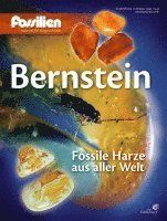 Bernstein 1