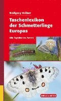 bokomslag Taschenlexikon der Schmetterlinge Europas