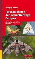bokomslag Taschenlexikon der Schmetterlinge Europas