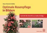 bokomslag Optimale Rosenpflege in Bildern