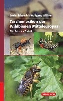 bokomslag Taschenlexikon der Wildbienen Mitteleuropas