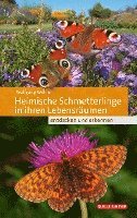 bokomslag Heimische Schmetterlinge in ihren Lebensräumen