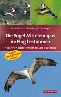 Wolfgang Fiedler, Hans-Joachim Fünfstück, Werner Nachtigall - Die Vögel Mitteleuropas im Flug bestimmen, Inbunden