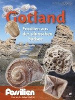 bokomslag Fossilien Sonderheft 'Gotland'