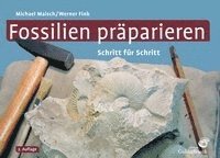 Fossilien präparieren 1