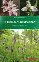 bokomslag Die Orchideen Deutschlands