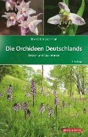 bokomslag Die Orchideen Deutschlands
