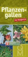 bokomslag Pflanzengallen im Vergleich