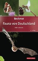 bokomslag Brohmer - Fauna von Deutschland