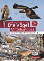 bokomslag Die Vögel Mitteleuropas