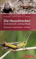 Jürgen Fischer, Daniela Steinlechner, Andreas Zehm, Dominik Poniatowski, Thomas Fartmann, Armin Beckmann, Christian Stettmer, Bayerische Akademie für Naturschutz und Landschaftspflege (ANL) - Die Heuschrecken Deutschlands und Nordtirols, Häftad
