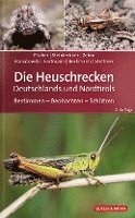 bokomslag Die Heuschrecken Deutschlands und Nordtirols