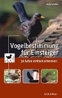 bokomslag Vogelbestimmung für Einsteiger