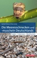 Vollrath Wiese, Klaus Janke - Die Meeresschnecken und -muscheln Deutschlands, Inbunden