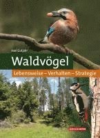 Axel Gutjahr - Waldvögel, Inbunden