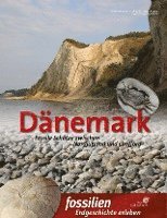 bokomslag Dänemark