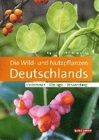 bokomslag Die Wild- und Nutzpflanzen Deutschlands