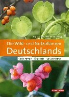 Ruprecht Düll, Herfried Kutzelnigg - Die Wild- und Nutzpflanzen Deutschlands, Inbunden