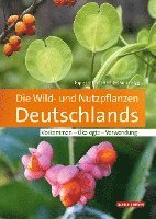 Ruprecht Düll, Herfried Kutzelnigg - Die Wild- und Nutzpflanzen Deutschlands, Inbunden