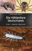 bokomslag Die Höhlentiere Deutschlands