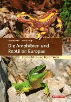 bokomslag Die Amphibien und Reptilien Europas