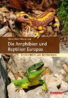 Dieter Glandt, Benny Trapp - Die Amphibien und Reptilien Europas, Inbunden