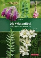 bokomslag Die Wiesenfibel