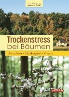 bokomslag Trockenstress bei Bäumen