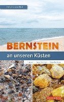 bokomslag Bernstein an unseren Küsten
