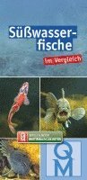 bokomslag Süßwasserfische