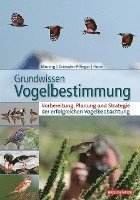 bokomslag Grundwissen Vogelbestimmung