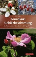 Grundkurs Gehölzbestimmung 1