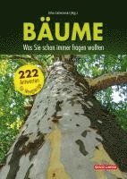 Bäume: Was Sie schon immer fragen wollten 1