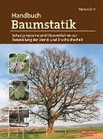 bokomslag Handbuch Baumstatik