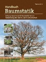 Handbuch Baumstatik 1