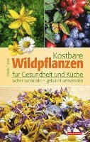 bokomslag Kostbare Wildpflanzen für Gesundheit und Küche