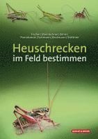 bokomslag Heuschrecken im Feld bestimmen