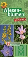 bokomslag Wiesenblumen im Vergleich - 10er-Set