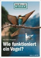 bokomslag Das will ich wissen! Wie funktioniert ein Vogel?