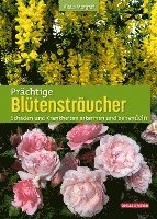 bokomslag Prächtige Blütensträucher