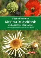 bokomslag SCHMEIL-FITSCHEN Die Flora Deutschlands und angrenzender Länder