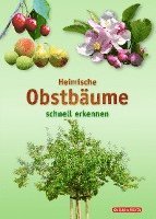 bokomslag Heimische Obstbäume