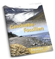 bokomslag Geschiebe-Fossilien