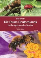 bokomslag Brohmer - Die Fauna Deutschlands und angrenzender Länder