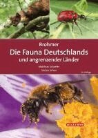 Matthias Schaefer, Stefan Scheu - Brohmer - Die Fauna Deutschlands und angrenzender Länder, Inbunden