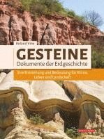 bokomslag Gesteine - Dokumente der Erdgeschichte