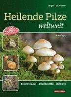 bokomslag Heilende Pilze weltweit